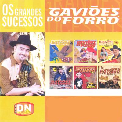 Meu Jeitinho By Gaviões do Forró's cover