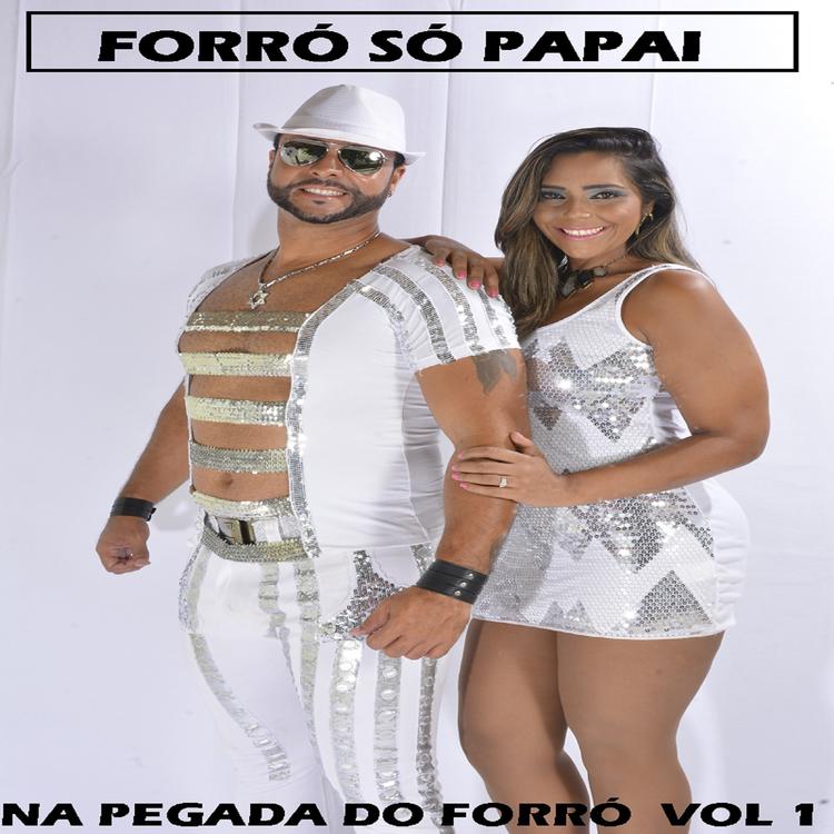 Forró Só Papai's avatar image