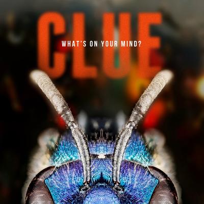 The Fool By Clue's cover