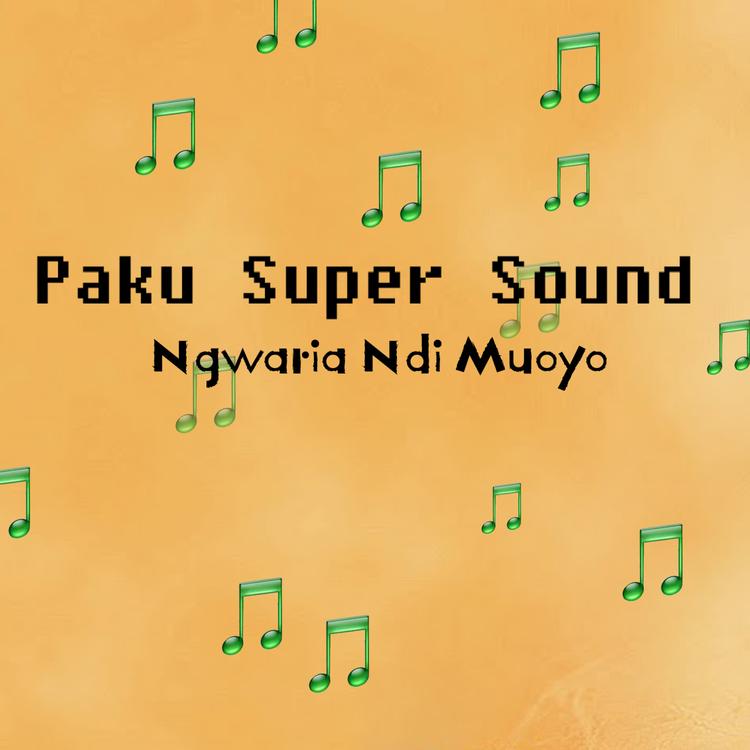 Paku Super Sound's avatar image