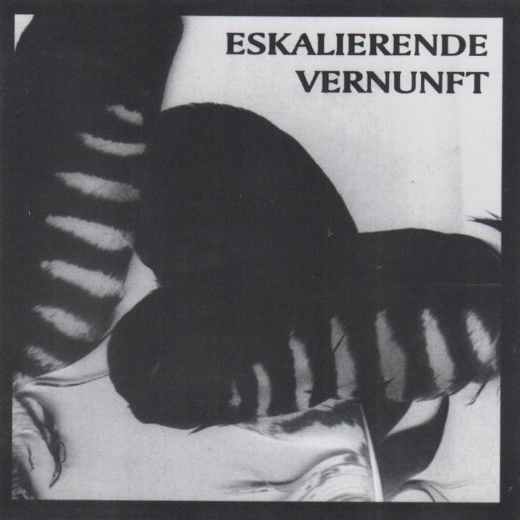 Eskalierende Vernunft's avatar image