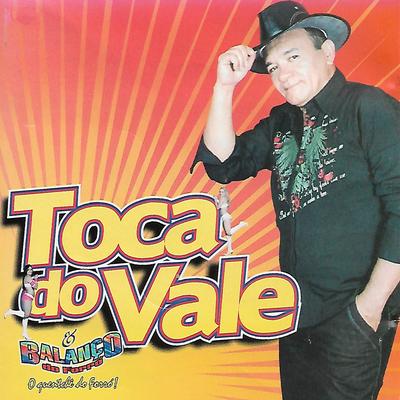 Niguém É De Ferro By Toca do Vale's cover