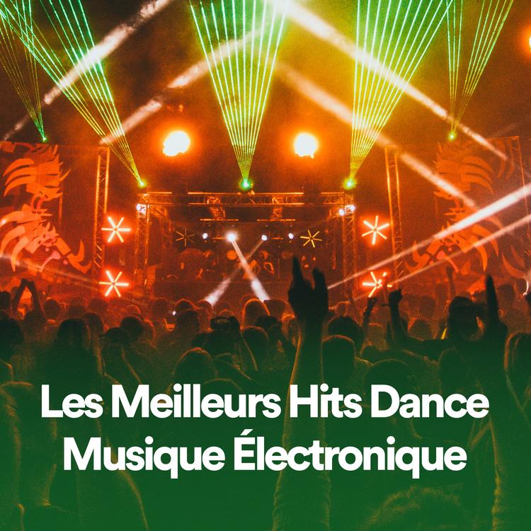 Les Meilleurs Hits Dance's avatar image