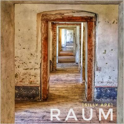 Raum By Silly Ape's cover