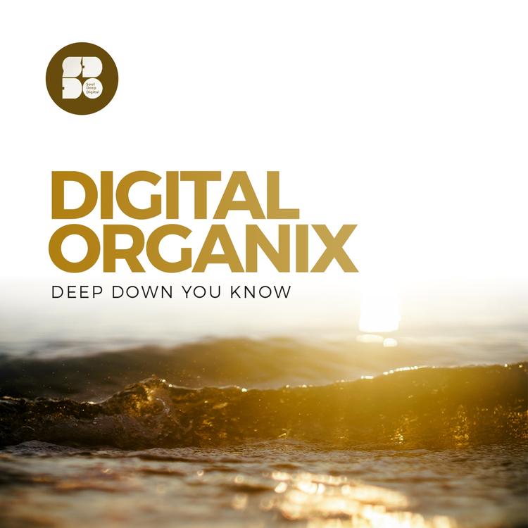 Digital Organix's avatar image