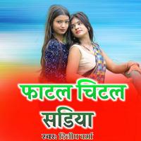 Dilip Verma's avatar cover