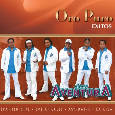 Oro Puro: Éxitos's cover