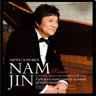 Nest By Nam Jin's cover