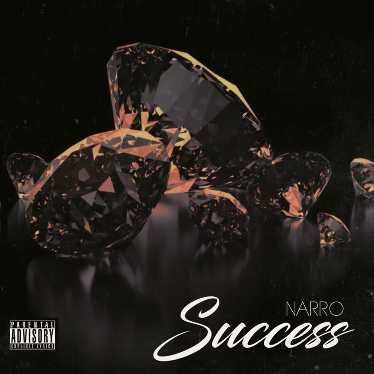 Narro's avatar image