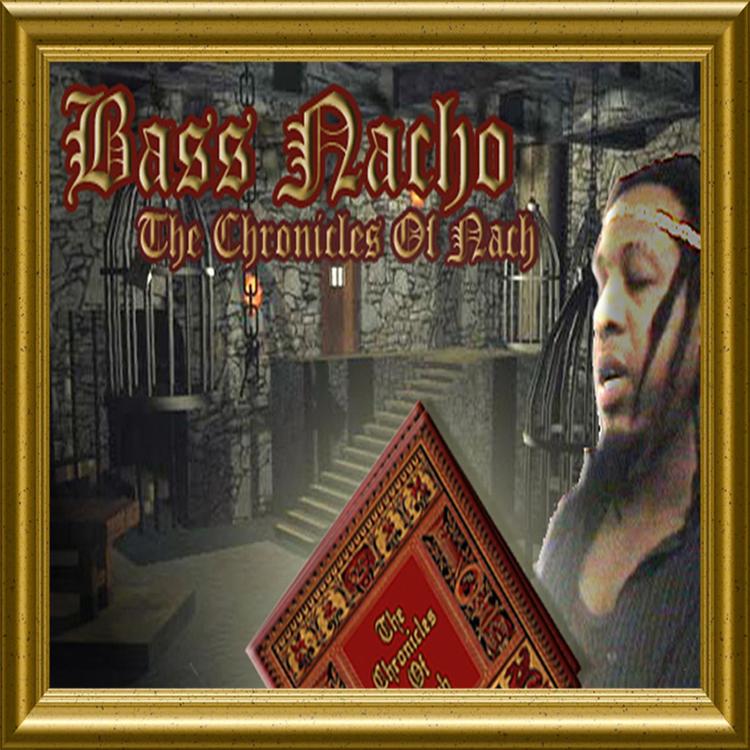 Bass Nacho's avatar image
