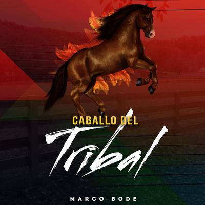 Caballo Del Tribal's cover