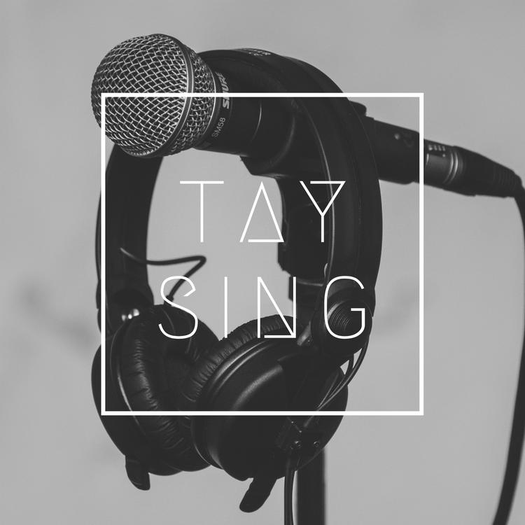 TaySing's avatar image