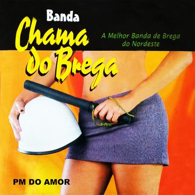 Banda Chama Do Brega's cover