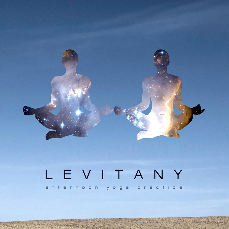 Levitany's avatar image