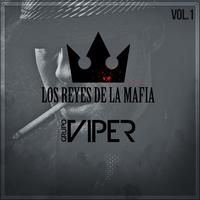 Grupo Viper's avatar cover