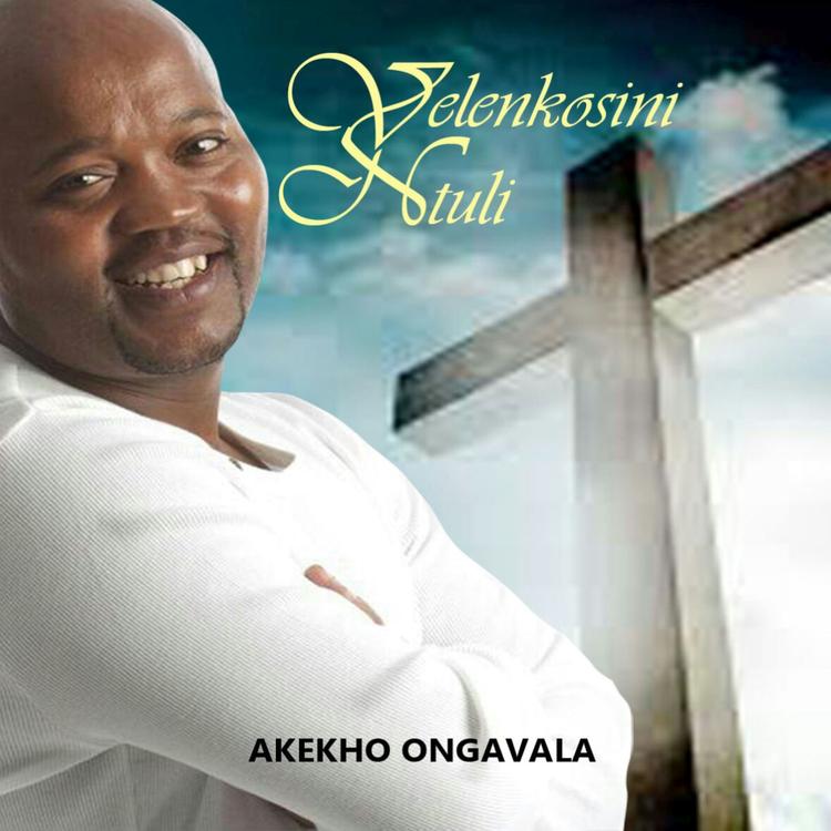 Velenkosini Ntuli's avatar image