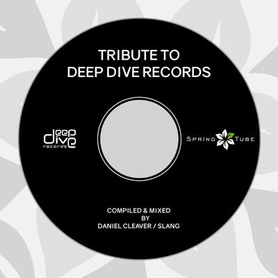 Tribute to Deep Dive Records's cover