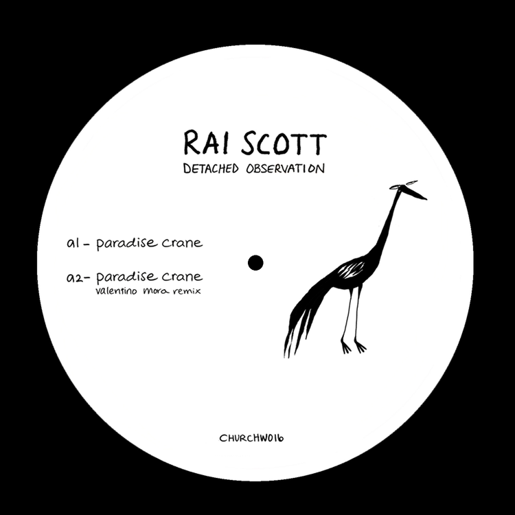 Rai Scott's avatar image