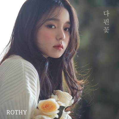Rothy's cover
