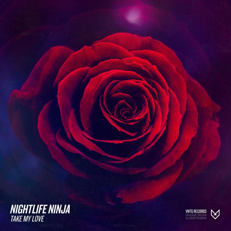 Nightlife Ninja's avatar image