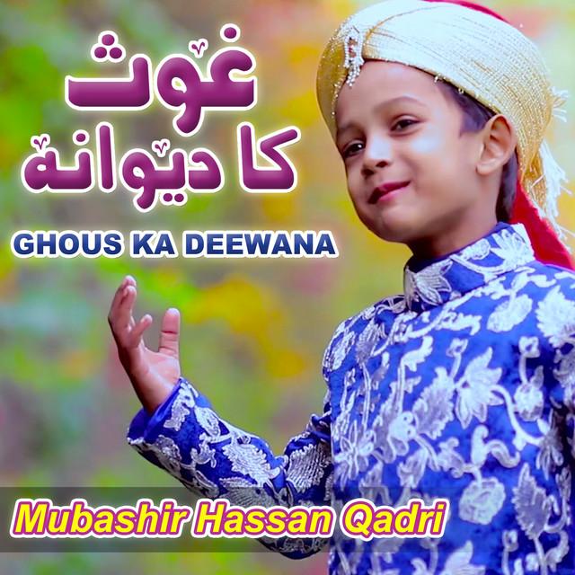Mubashir Hassan Qadri's avatar image