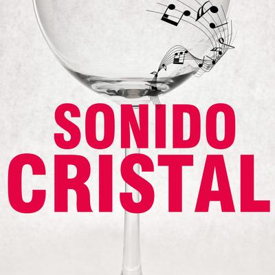 Alguien Robo By Sonido Cristal's cover