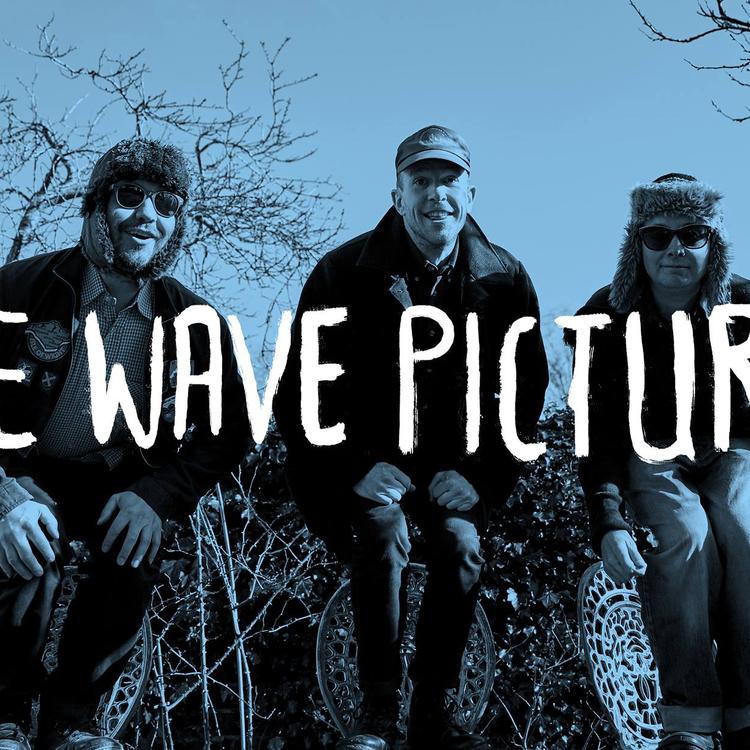 The Wave Pictures's avatar image