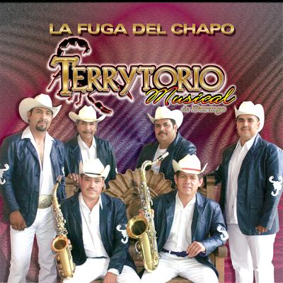 Terrytorio Musical de Durango's cover