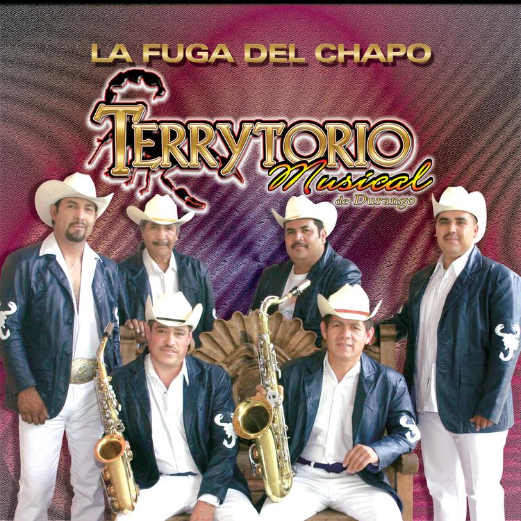 Terrytorio Musical de Durango's avatar image