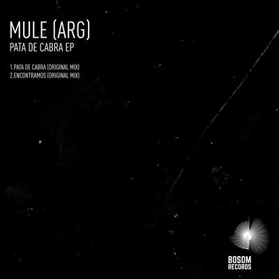 Encontramos (Original Mix) By Mule's cover