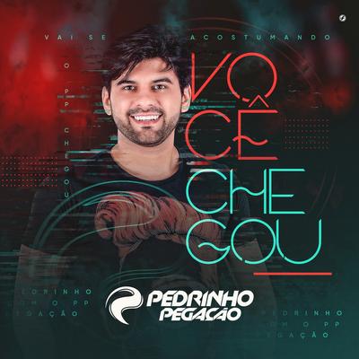 Você Chegou By Pedrinho Pegação's cover
