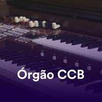 Órgão CCB's avatar cover