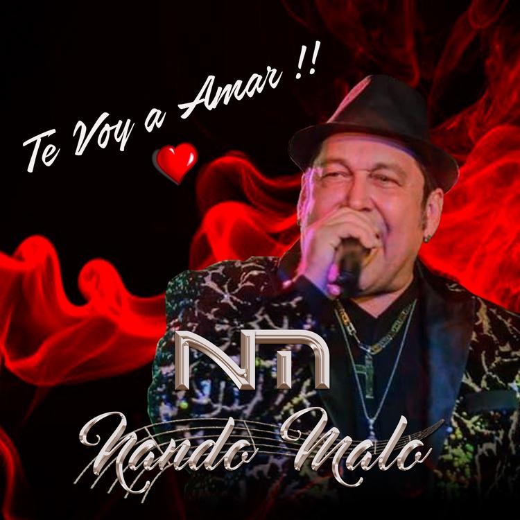 Nando Malo's avatar image