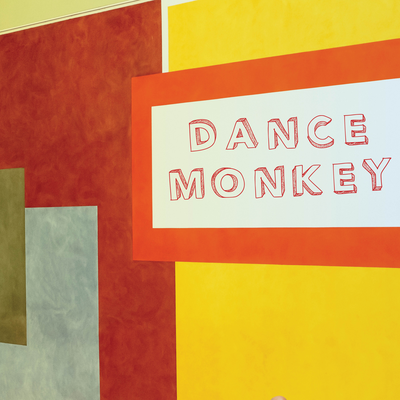 Dance Monkey By Vibe2Vibe's cover