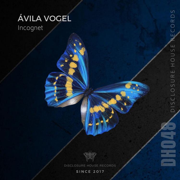 Ávila Vogel's avatar image