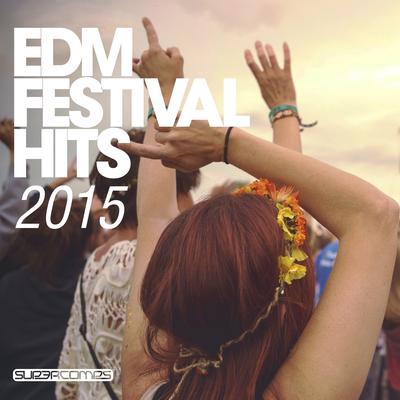 EDM Festival Hits 2015's cover