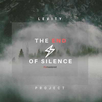 Swallowed By Levity Project's cover