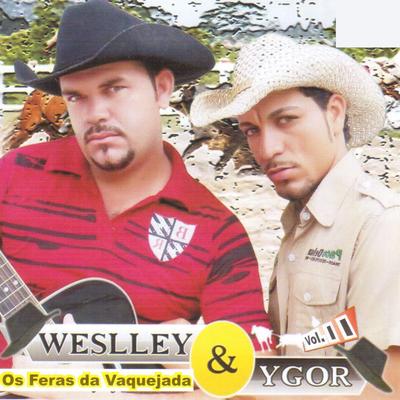 Papia Me Diga By Weslley & Ygor's cover