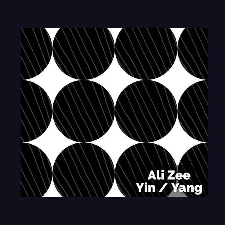 Ali Zee's avatar image