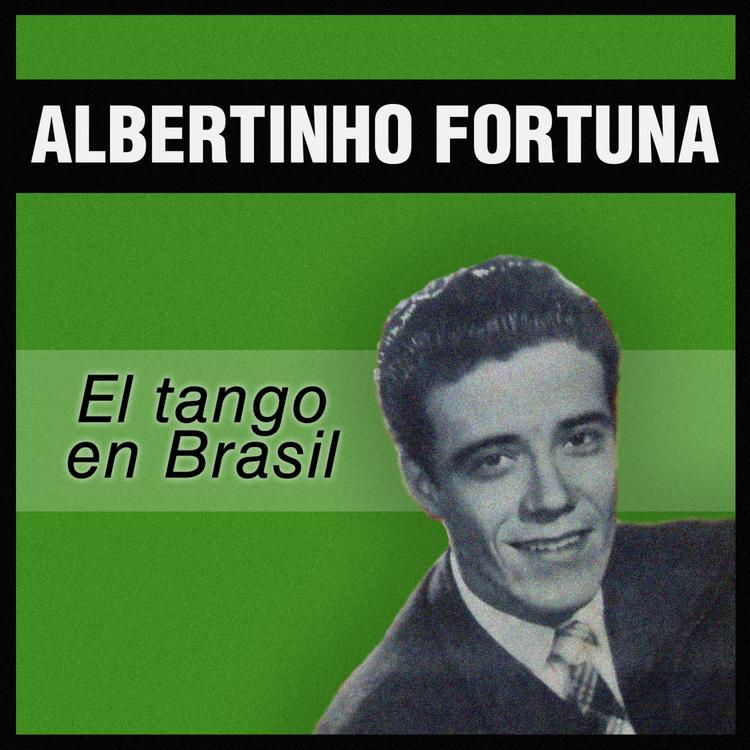 Albertinho Fortuna's avatar image