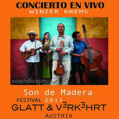 El Gavilancito (Live) By Son de Madera's cover