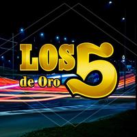 Los 5 de Oro's avatar cover