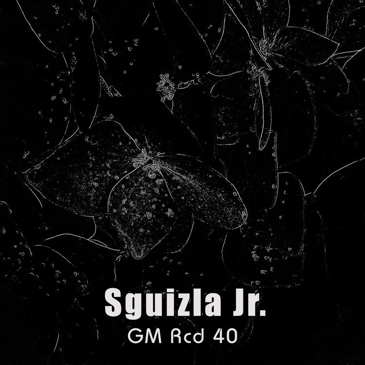 Sguizla Jr.'s avatar image