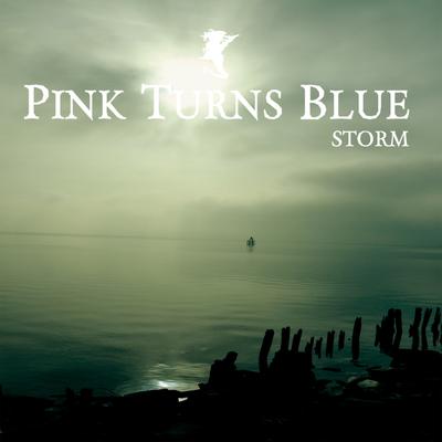 Run From Me By Pink Turns Blue's cover