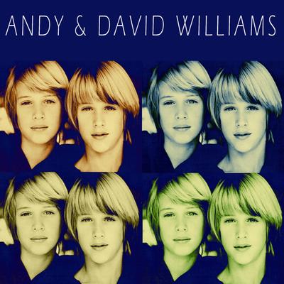 Andy & David Williams's cover