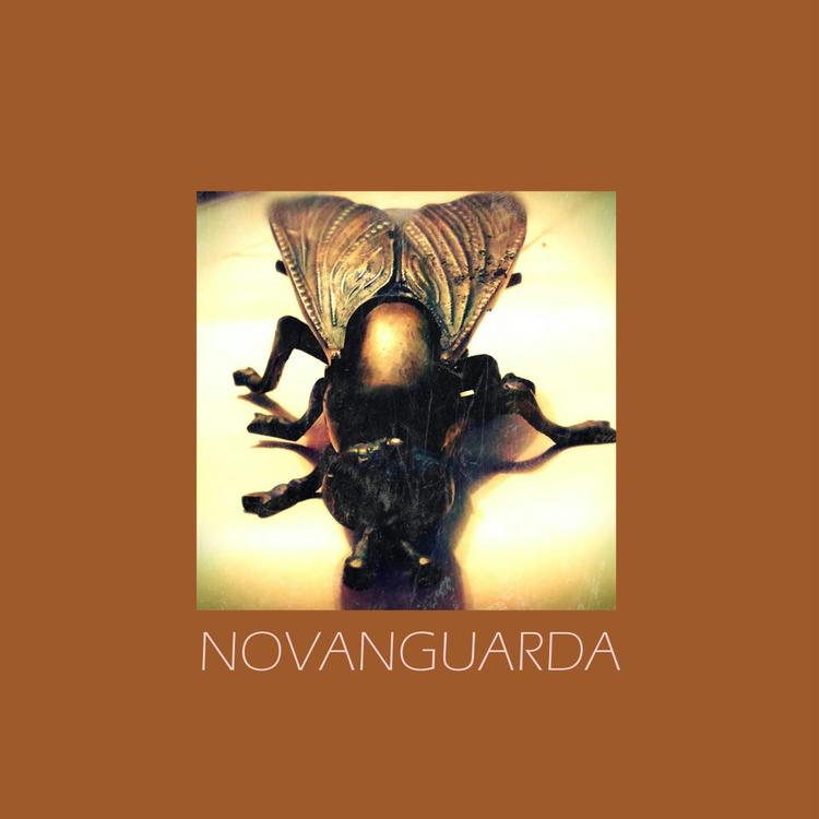 Novanguarda's avatar image