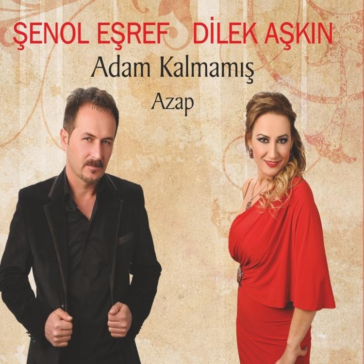 Dilek Aşkın's avatar image