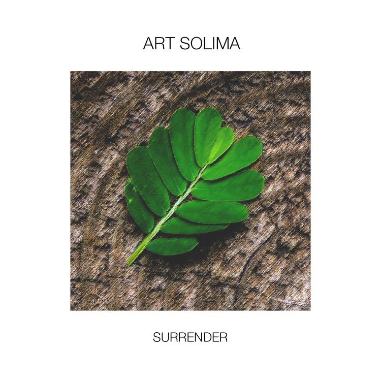 Art Solima's avatar image