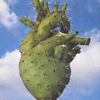 Heavy Nopal's avatar cover