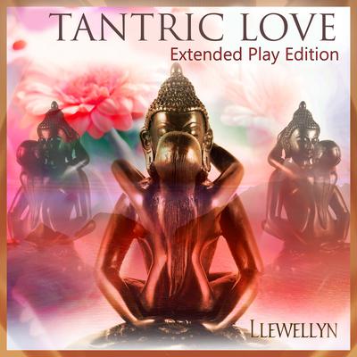 Tantric Heartwave By Llewellyn's cover